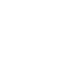 Home icon arche