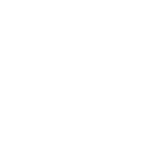 Home icon brc